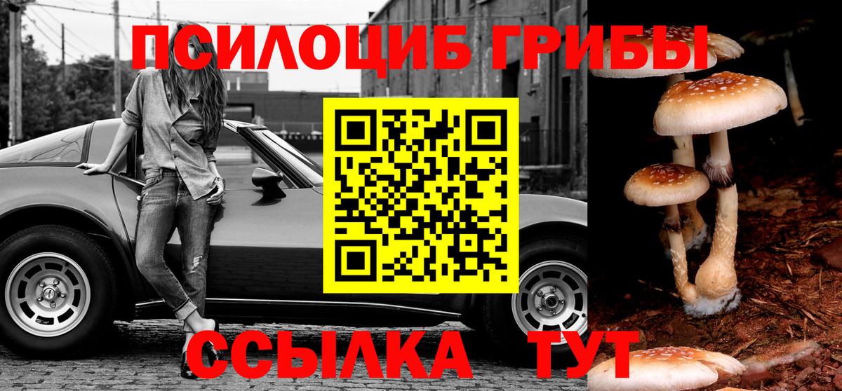 Строитель  Галлюциногенные грибы прущие грибы  Вход с VPN 